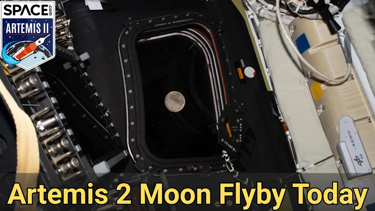 Artemis II & Dr. Young: Guiding NASA's Return to the Moon